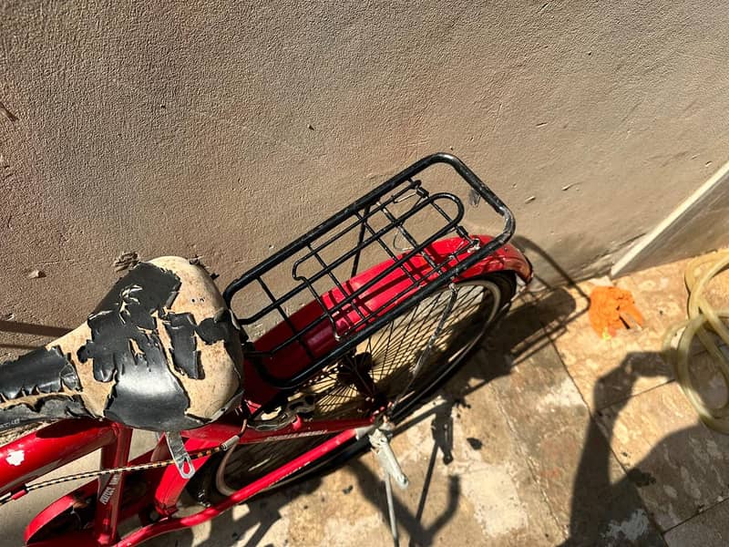strong bicycle 2