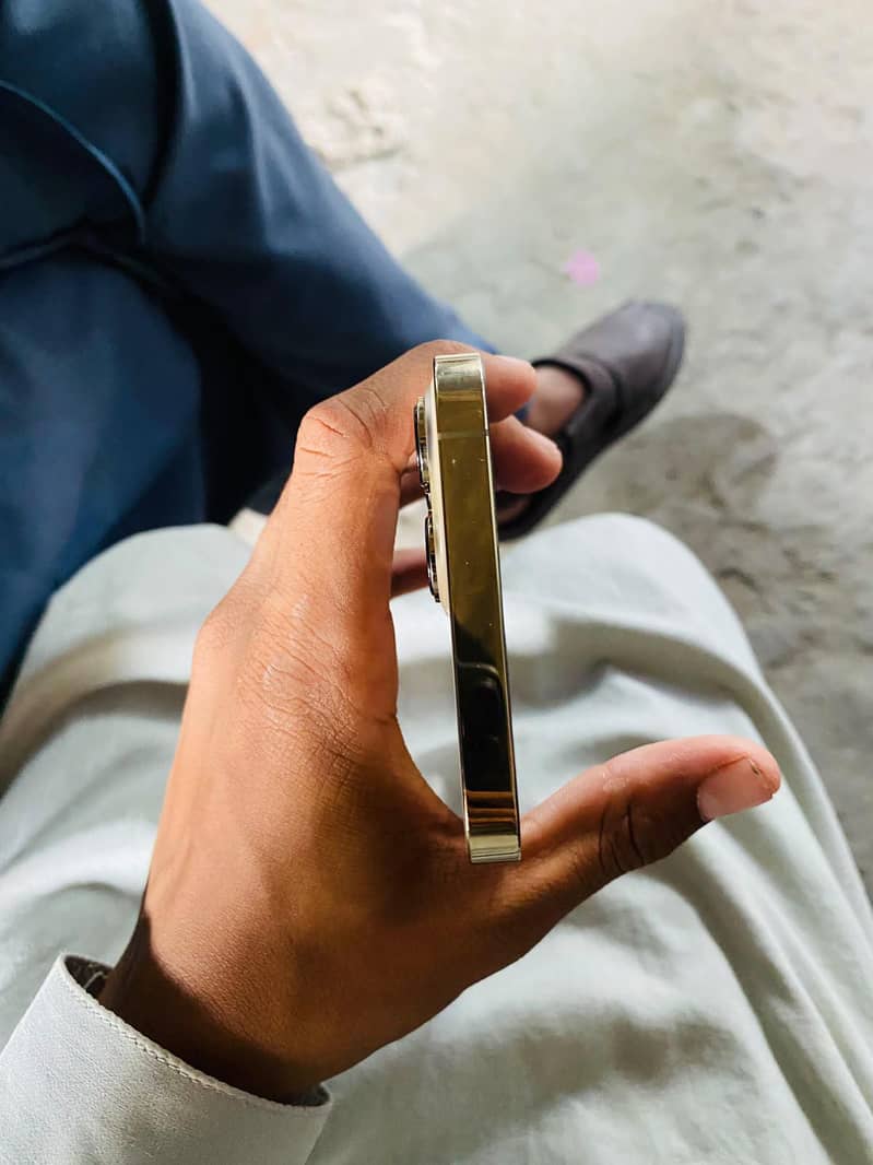 Apple iPhone 13 Pro Max 2