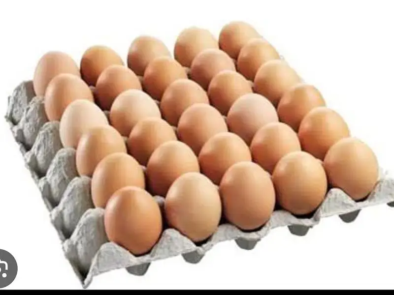 Desi eggs pure — photo 2