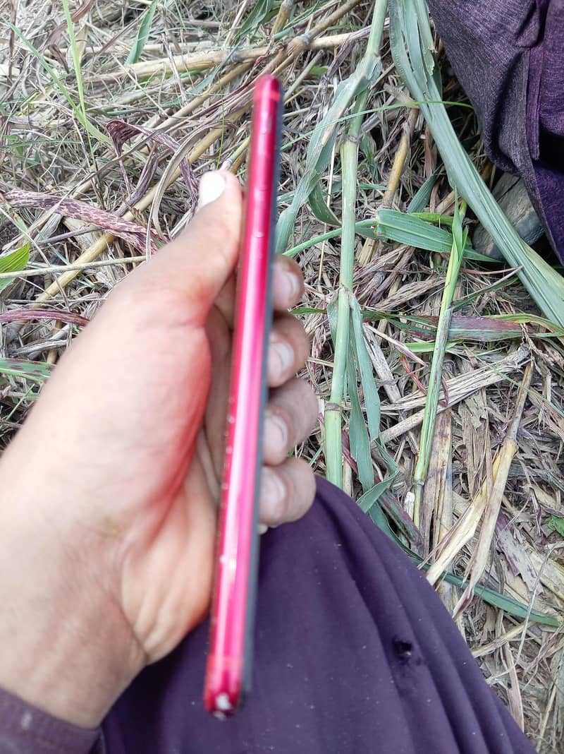 Apple iPhone 7 Plus 0