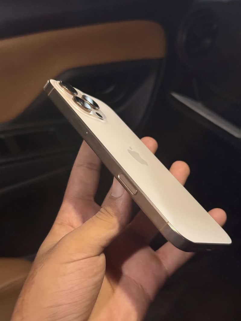 Apple iPhone 16 Pro Max 1