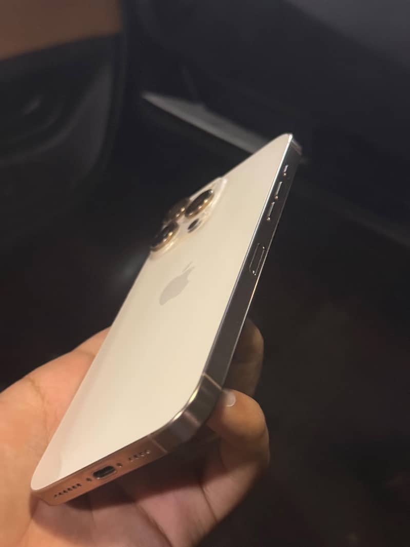 Apple iPhone 16 Pro Max 2