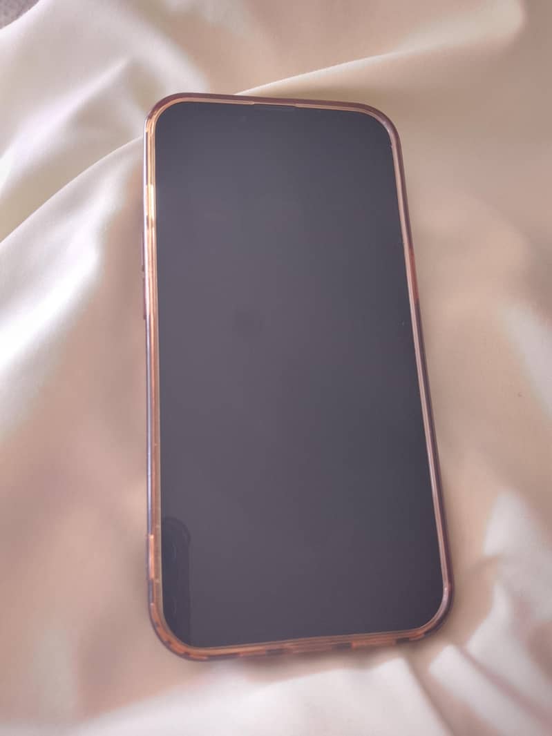 Apple iPhone 13 0