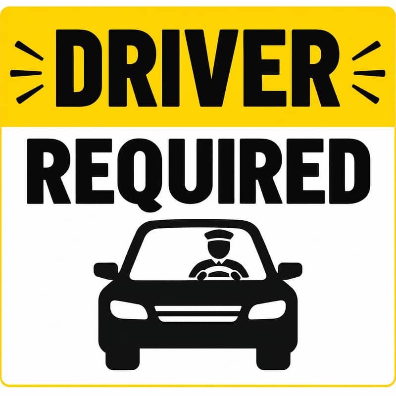 Driving Instructor 0