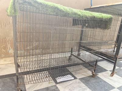 Cage for pets