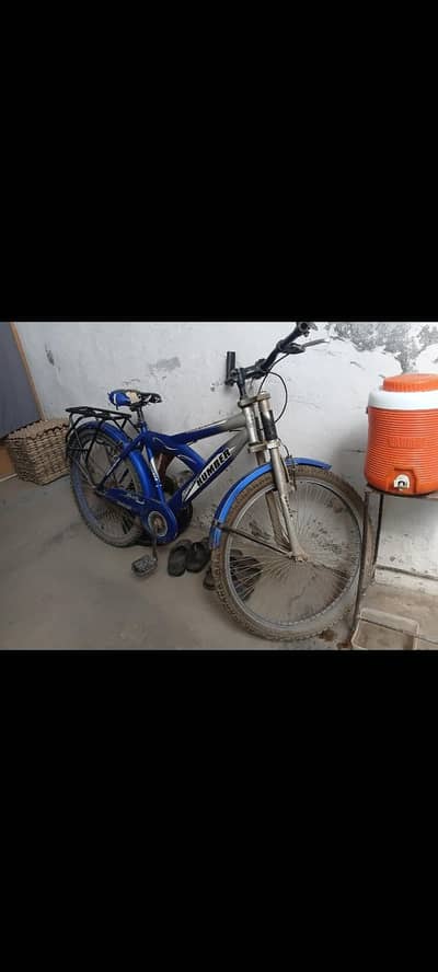 bicycle for young adults and kids