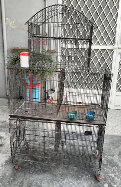 5 portion Birds Cage