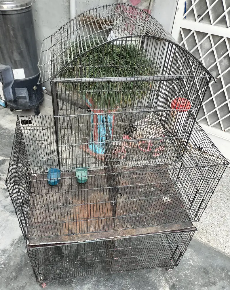 5 portion Birds Cage — photo 2