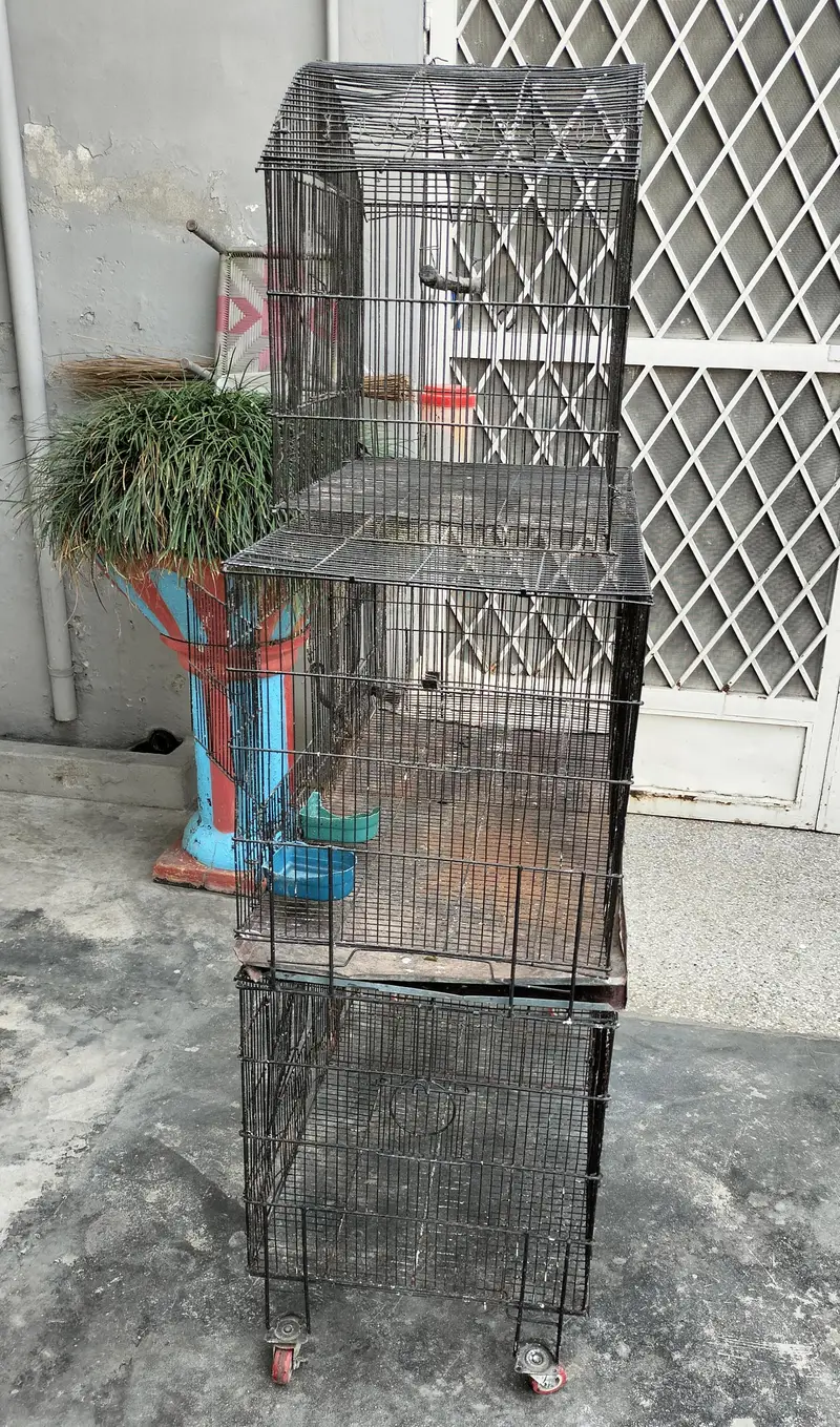 5 portion Birds Cage — photo 3