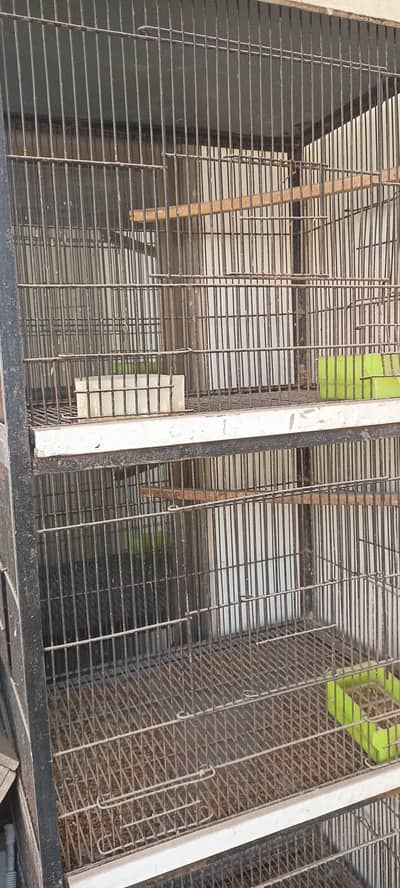 birds cage