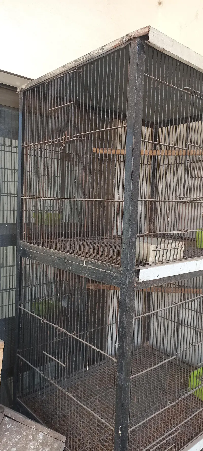 birds cage — photo 2