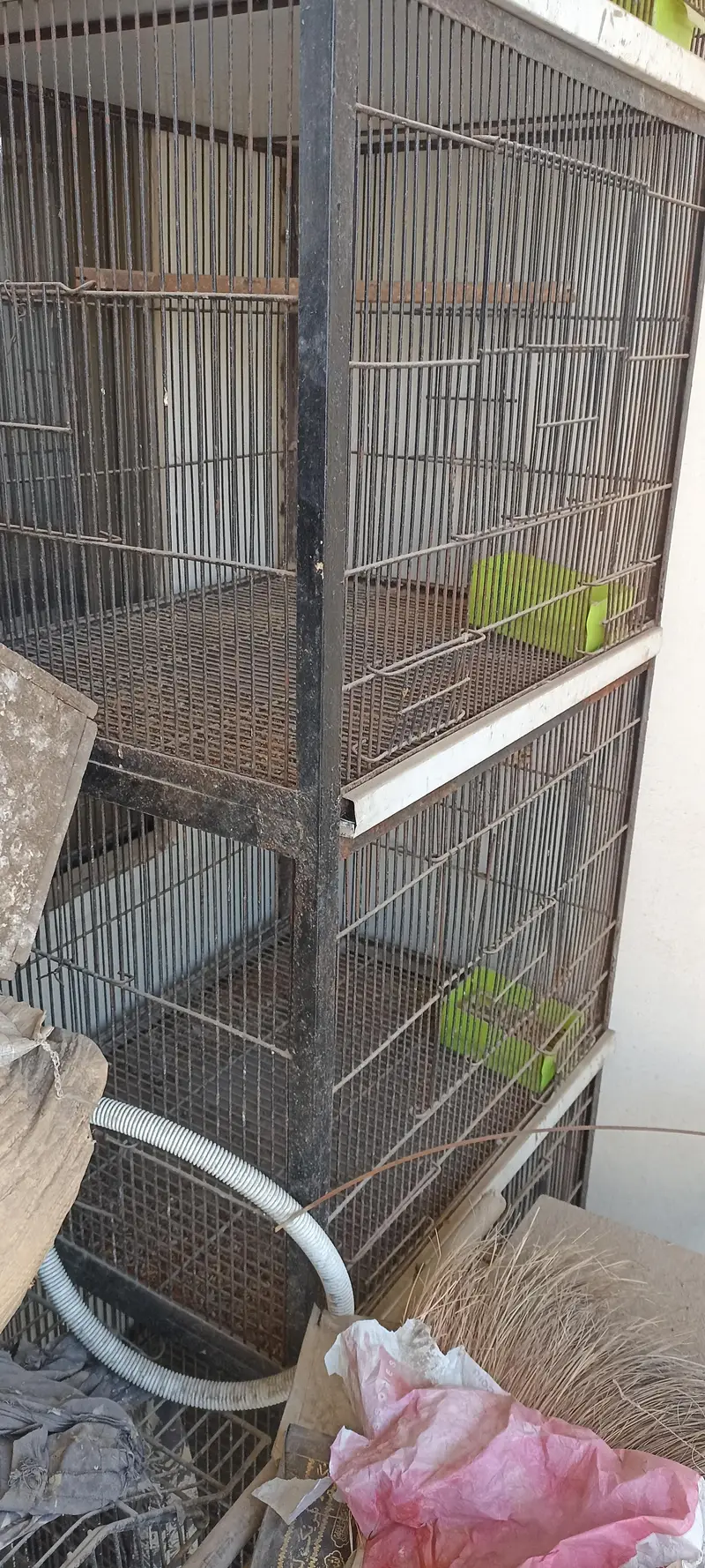 birds cage — photo 4