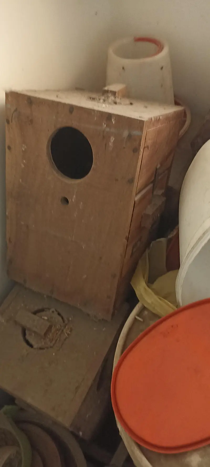 birds cage — photo 9
