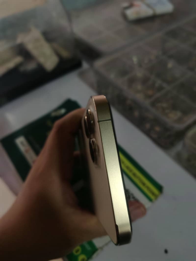 Apple iPhone 13 Pro Max 4