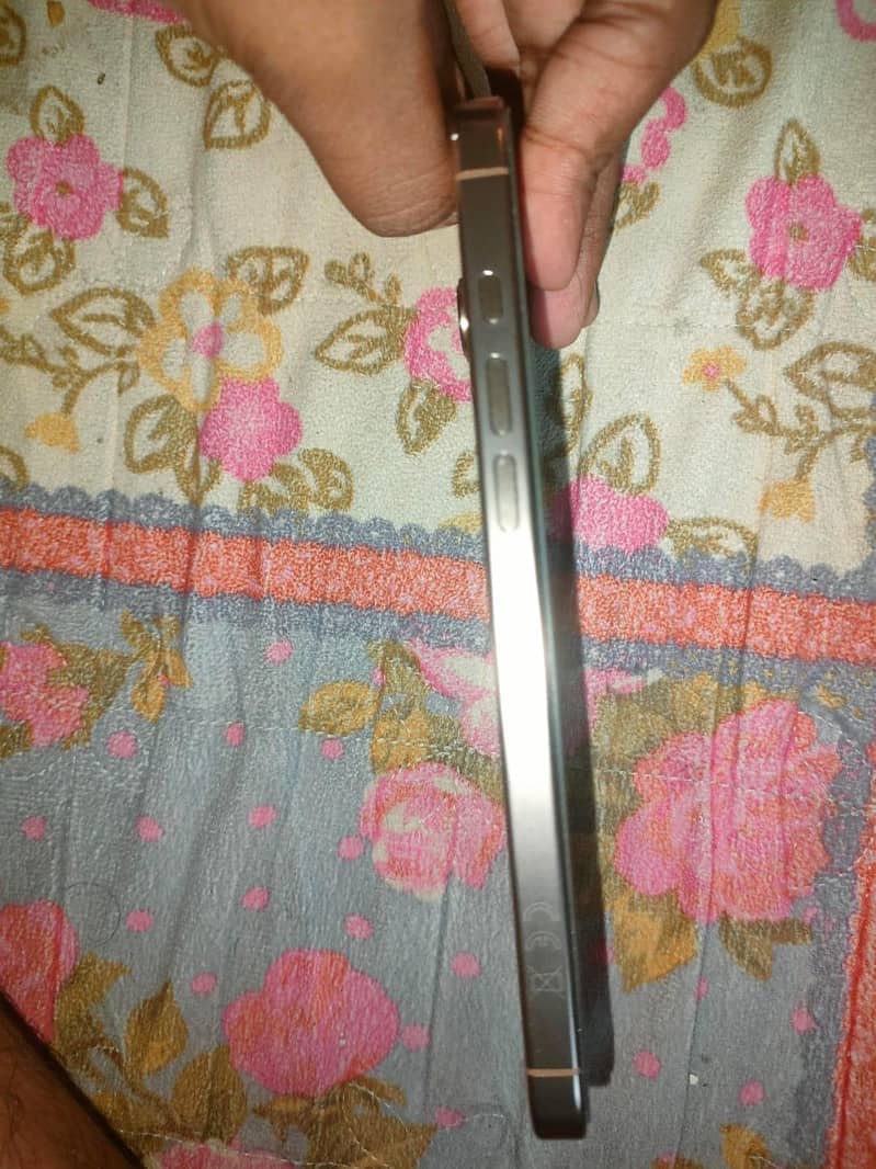 Apple iPhone 16 Pro Max 1