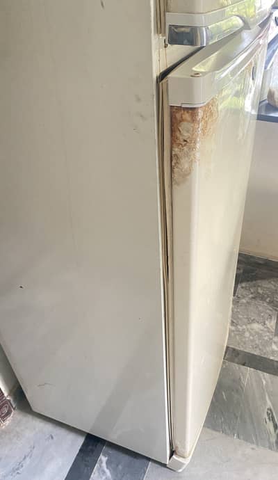 Hair 2 door fridge