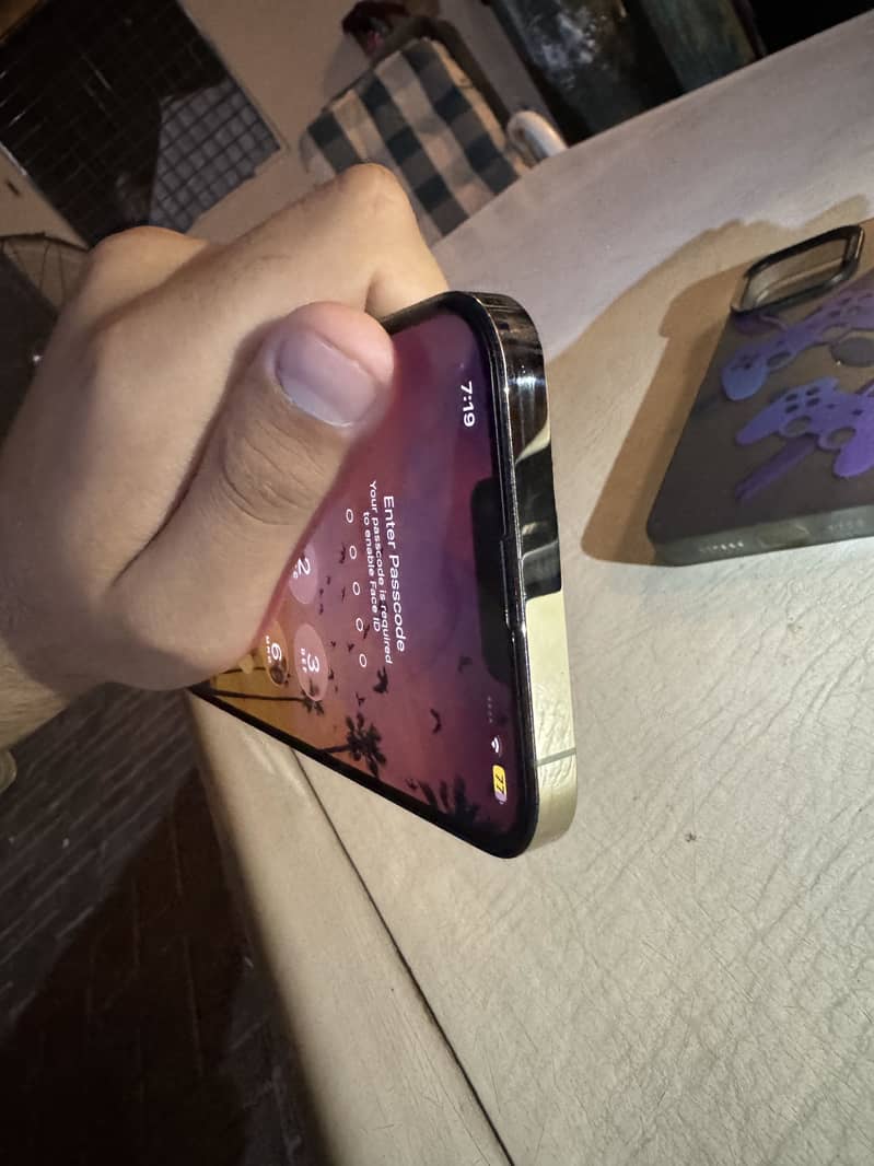 Apple iPhone 13 Pro Max 1