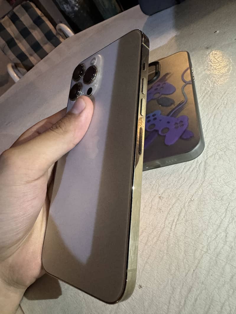 Apple iPhone 13 Pro Max 2