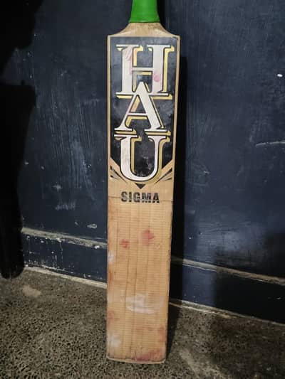 i don't play cricket anymore so I can sell this