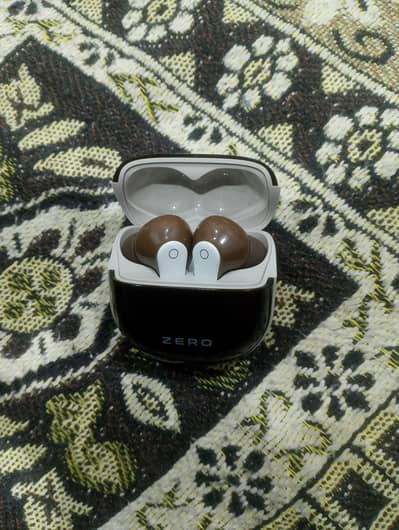 Earphones