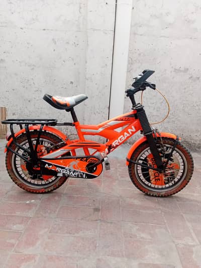 Beautiful Morgen Cycle