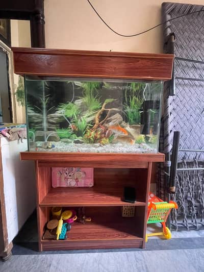 2.6 feet aquarium with fishes \ Read add