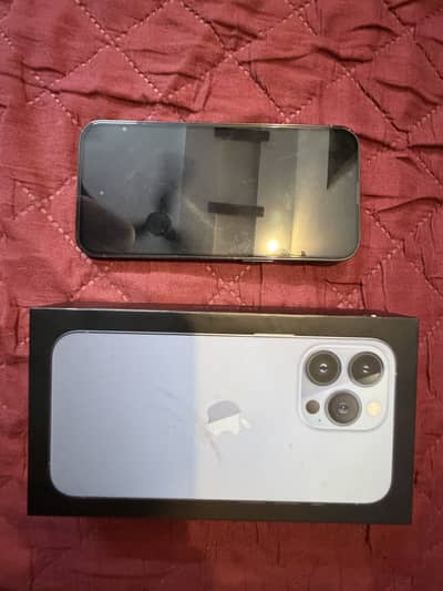 Apple iPhone 13 Pro 10/10