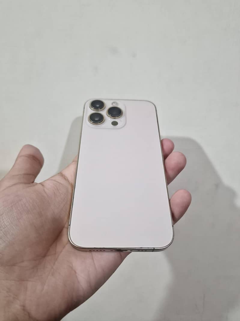 Apple iPhone 13 Pro 1