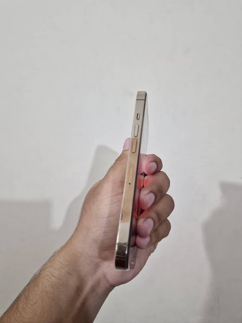 Apple iPhone 13 Pro 3