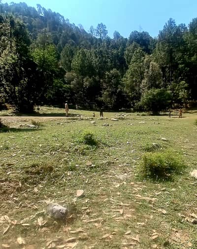 50 Kanal Commercial Plot For Sale In Pir Sohawa Islamabad Road