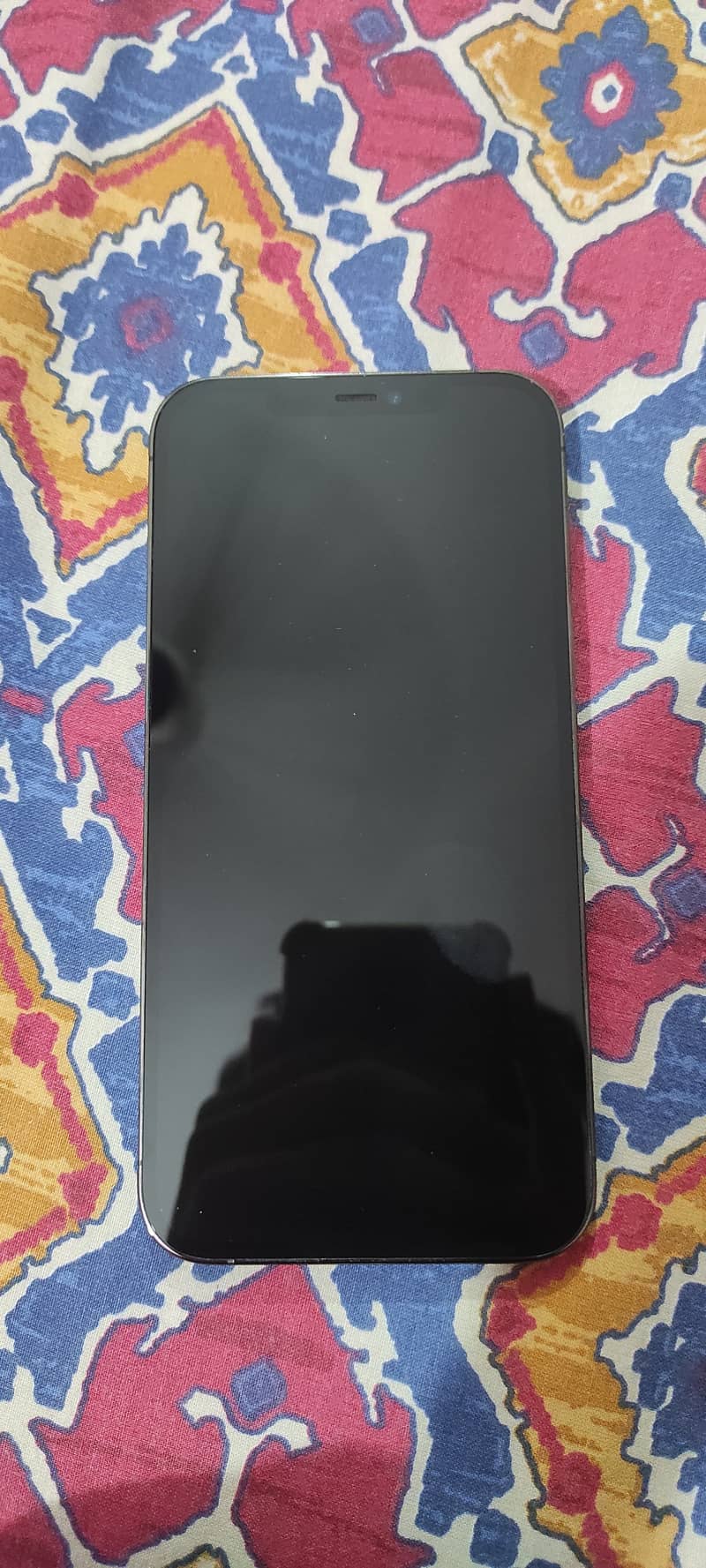 Apple iPhone 12 Pro Max 1