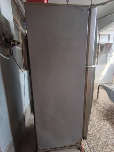 PEL freezers