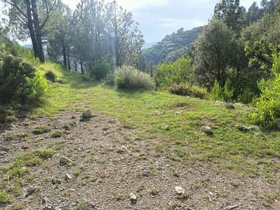 Land For On Main Road Pir Sohawa Near By Pine City Plot For Sale