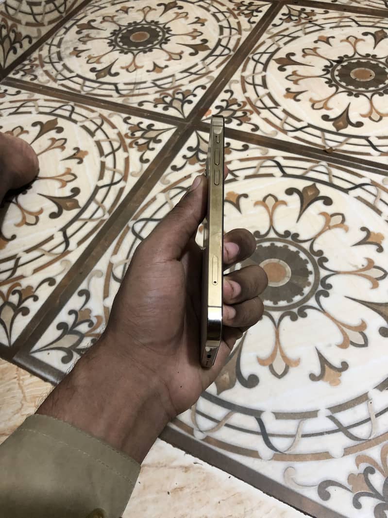Apple iPhone 12 Pro 1