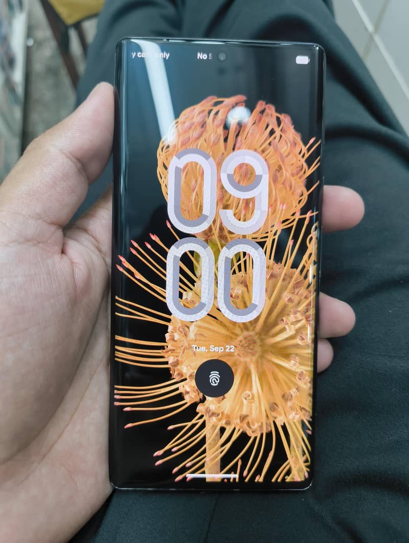 Google Pixel 6 Pro 1