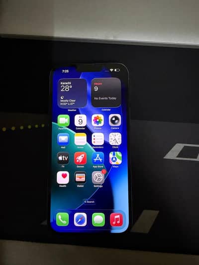 Apple iPhone 13 Pro Max
