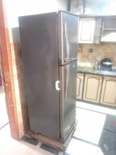 Waves 2 Door Fridge and Refrigerator