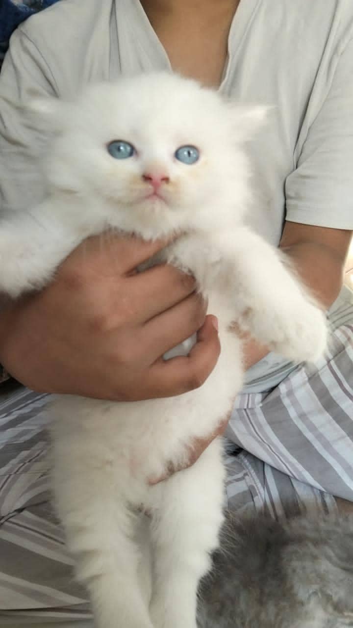 undefined 2