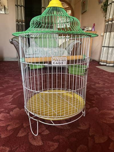 2 Bird Cages for Sale - Brand new Condition