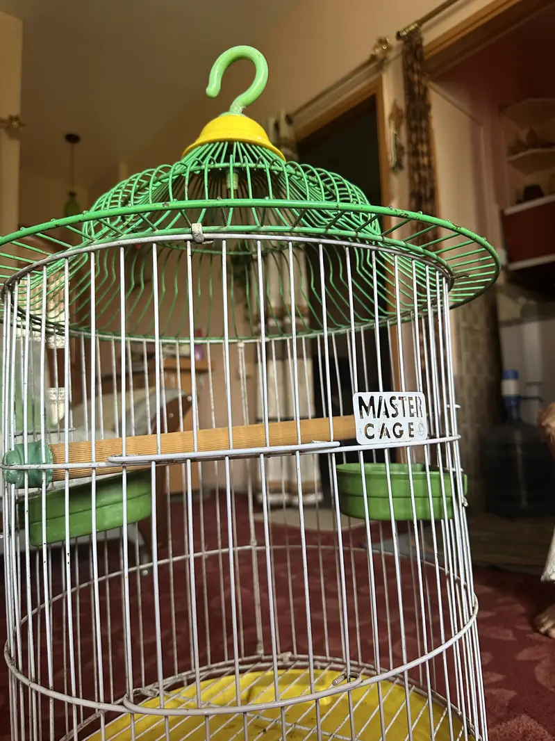 2 Bird Cages for Sale - Brand new Condition — photo 3