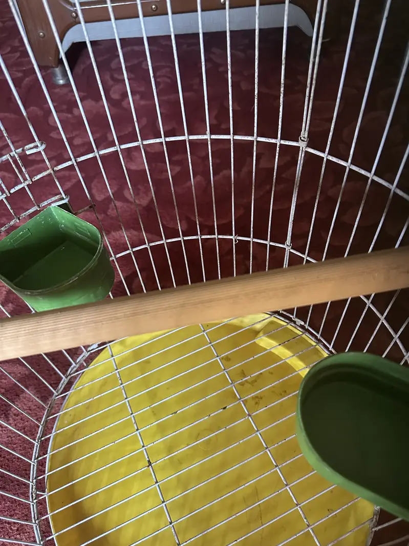 2 Bird Cages for Sale - Brand new Condition — photo 4