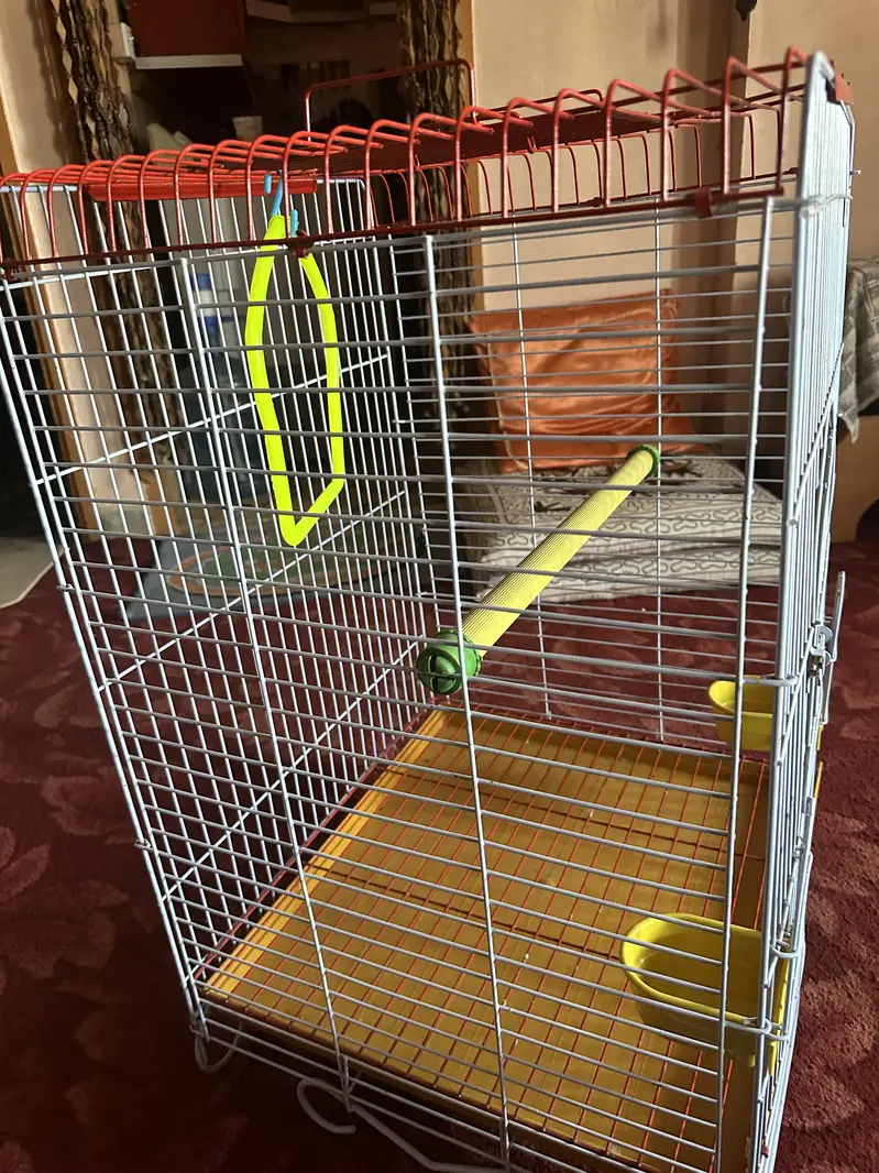 2 Bird Cages for Sale - Brand new Condition — photo 5