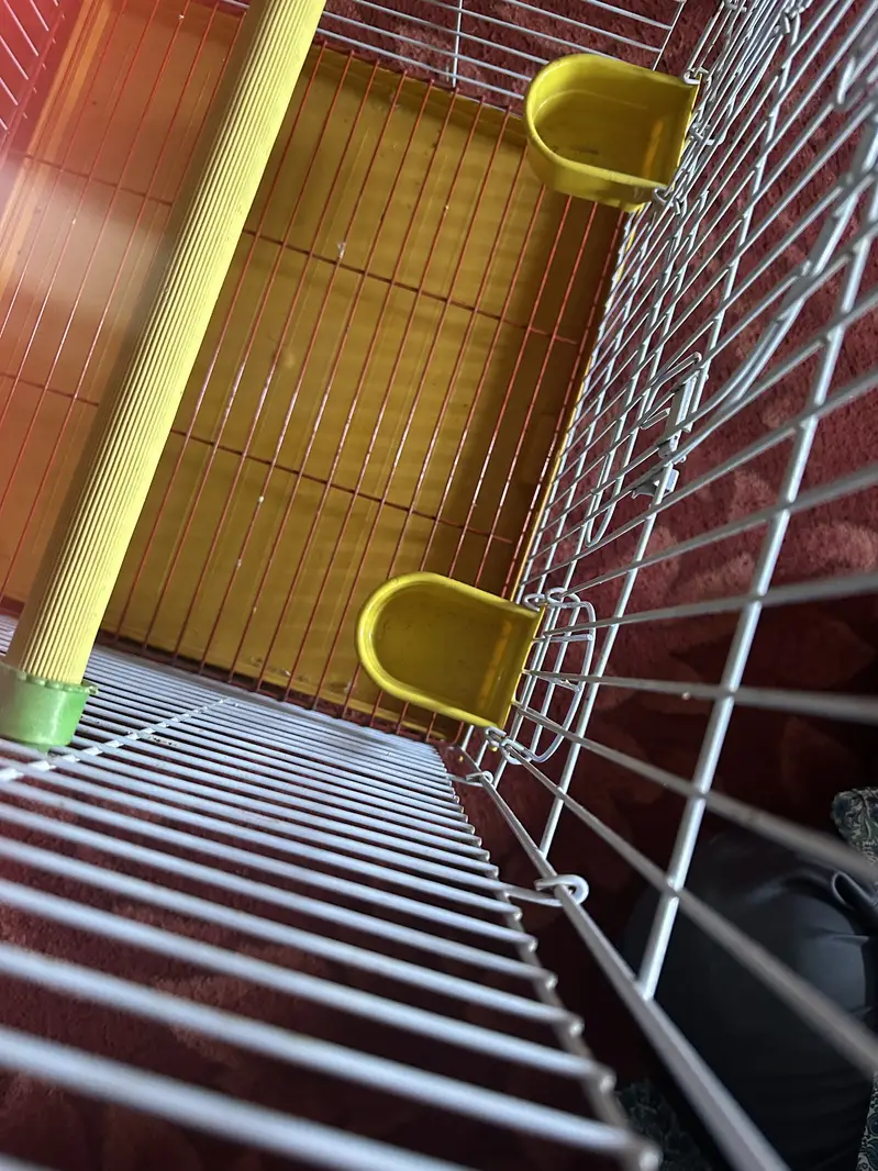 2 Bird Cages for Sale - Brand new Condition — photo 6