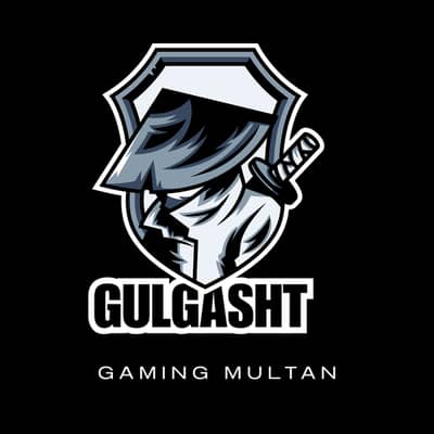 gaming logo designer in multan - 800 only