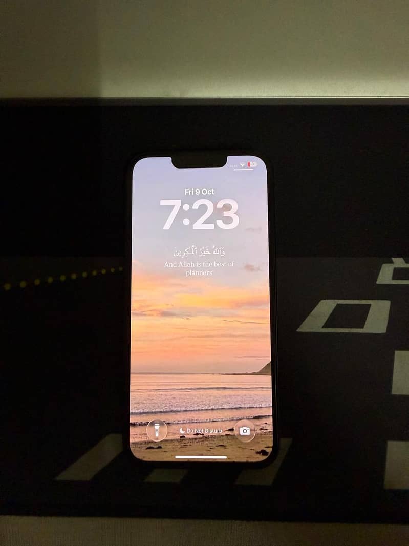 Apple iPhone 13 0