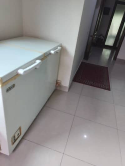 Waves freezer for sale