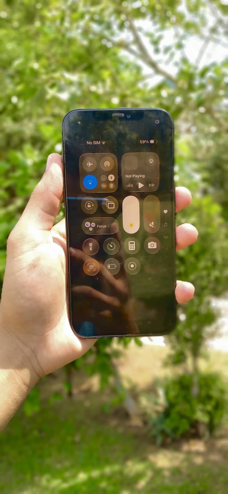 Apple iPhone 12 Pro Max 1