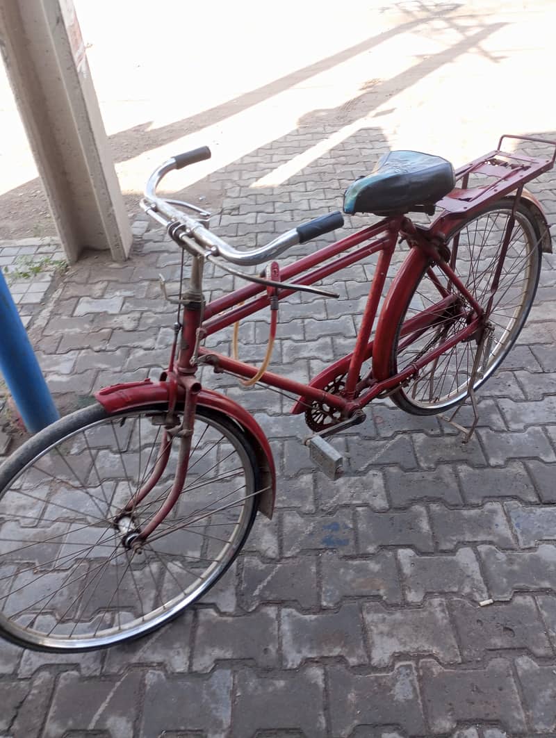 Salab cycle 1