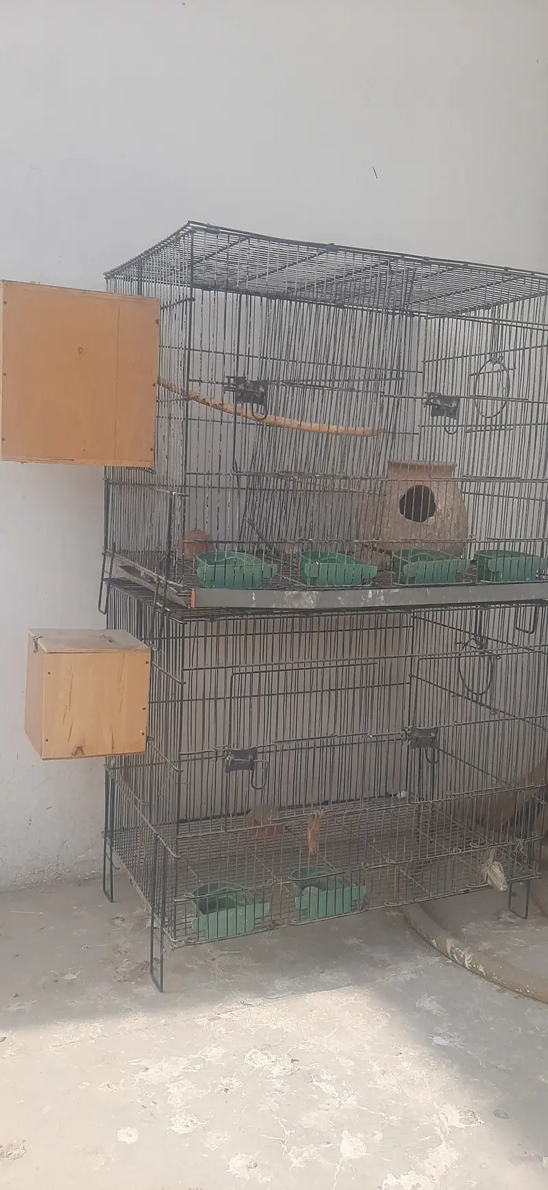 Parrot Cage — photo 2
