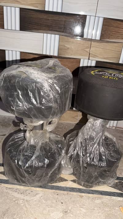 12kg dumbbells set